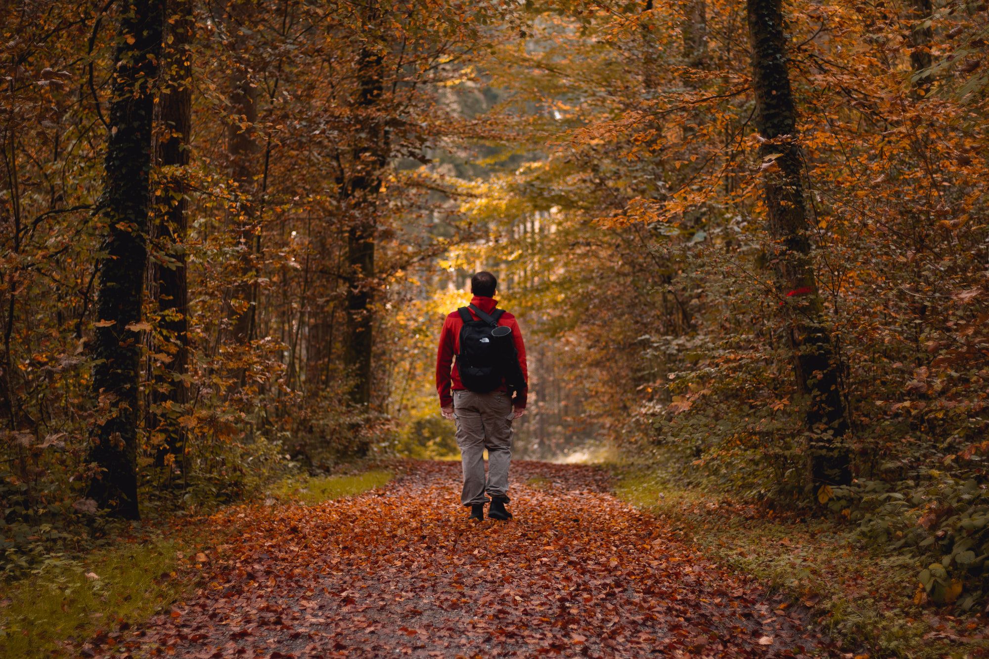 Surprise, Walking Is A Great Cardio Activity Too